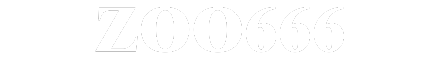 zoo666pro.cc